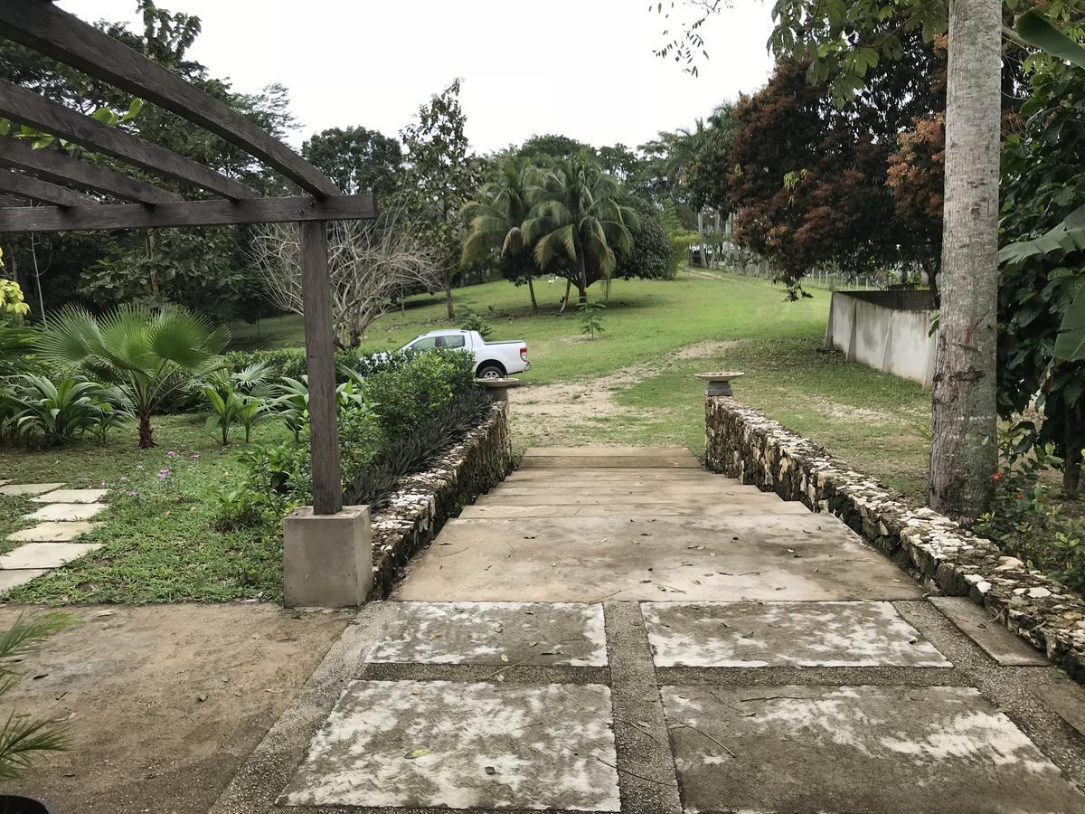 Maya Rue * Palenque