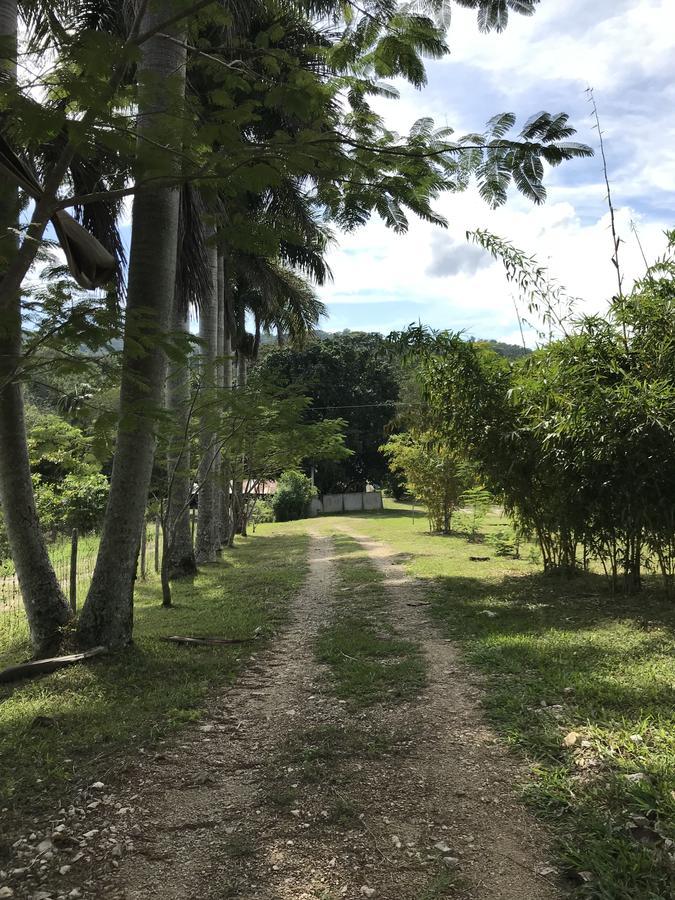 Country house Maya Rue Palenque